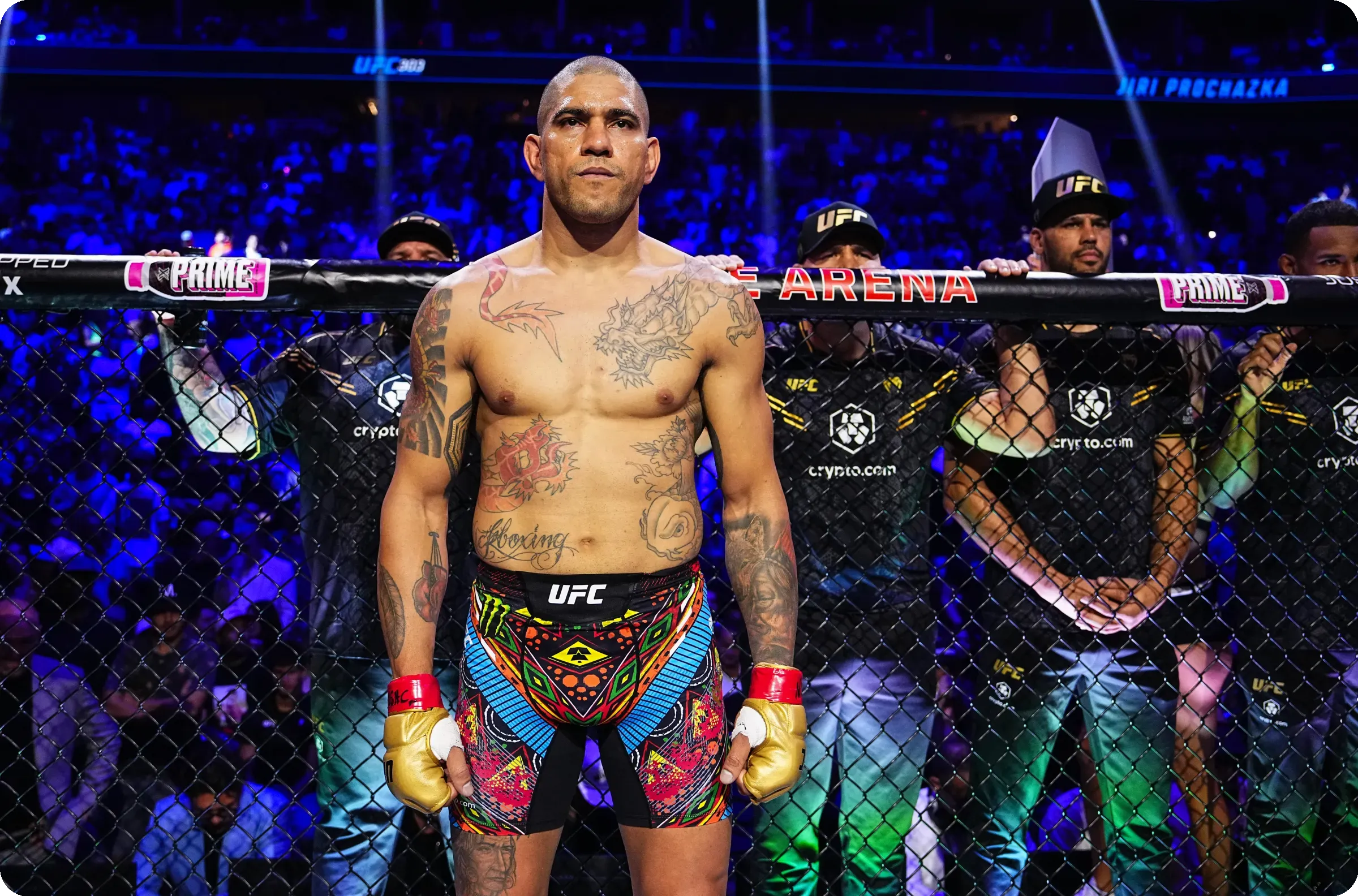 Recent Wins and Title Defenses